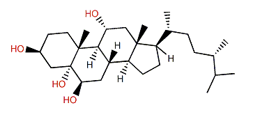 Sarcoaldesterol B